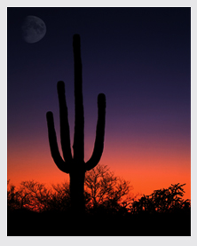 Desert Scenery